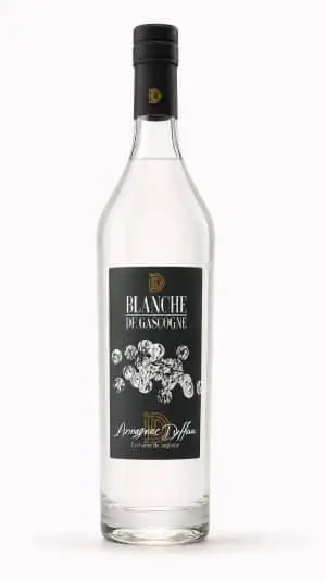 Blanche de Gascogne